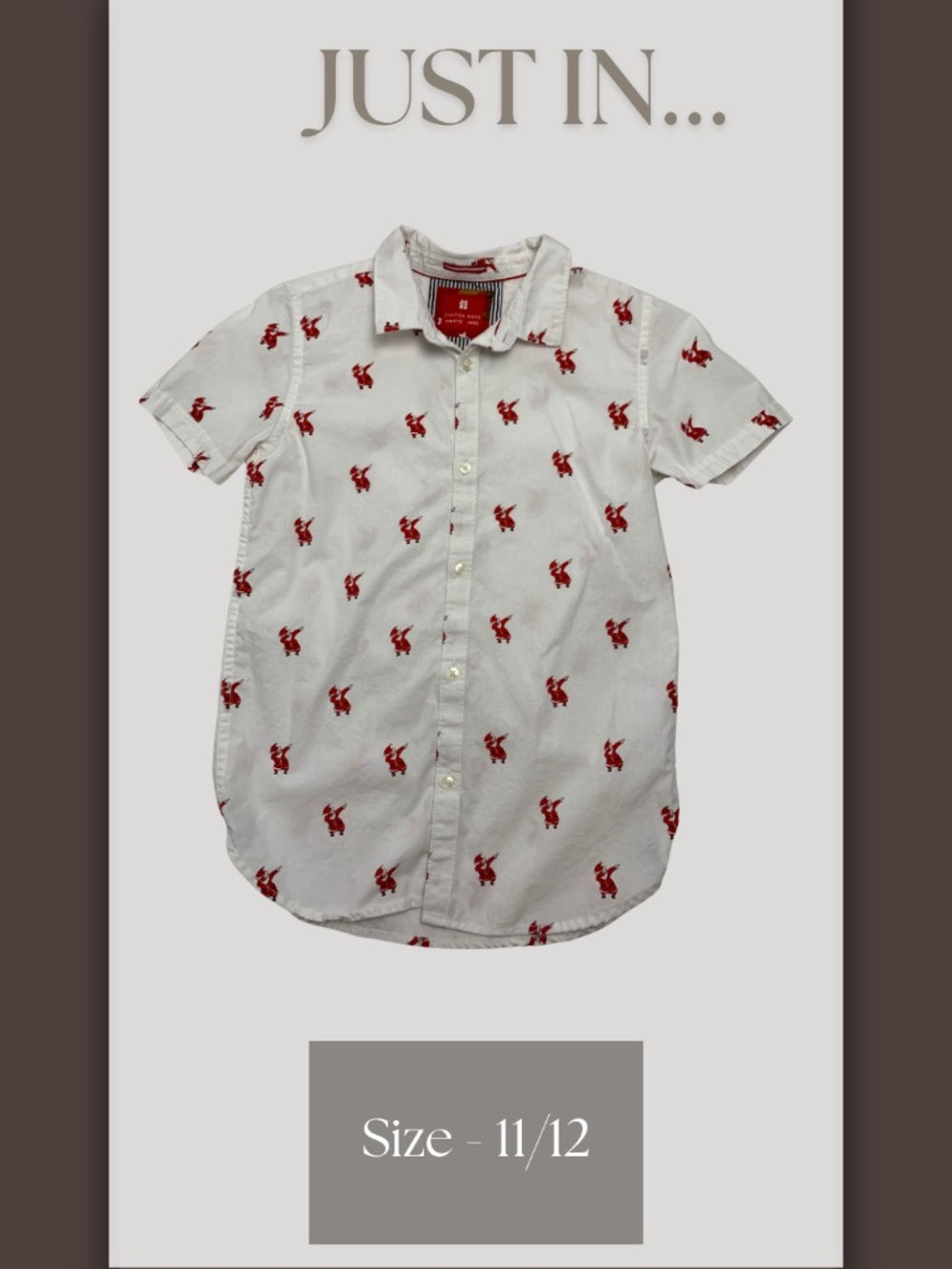 Cactus Boys Santa Print Button Down Shirt Boys 11/12 Holiday Christmas Preppy